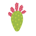 C4 C4